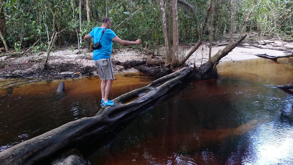 Du betrachtest gerade Parque Nacional Cahuita Costa Rica