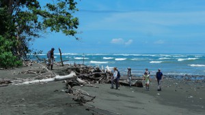 Read more about the article Parque Nacional Corcovado Costa Rica