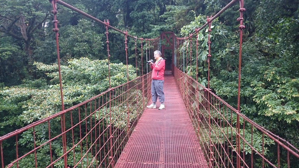 Du betrachtest gerade Monteverde Bosque Nuboso und Seilpark 100% Avventura, Costa Rica