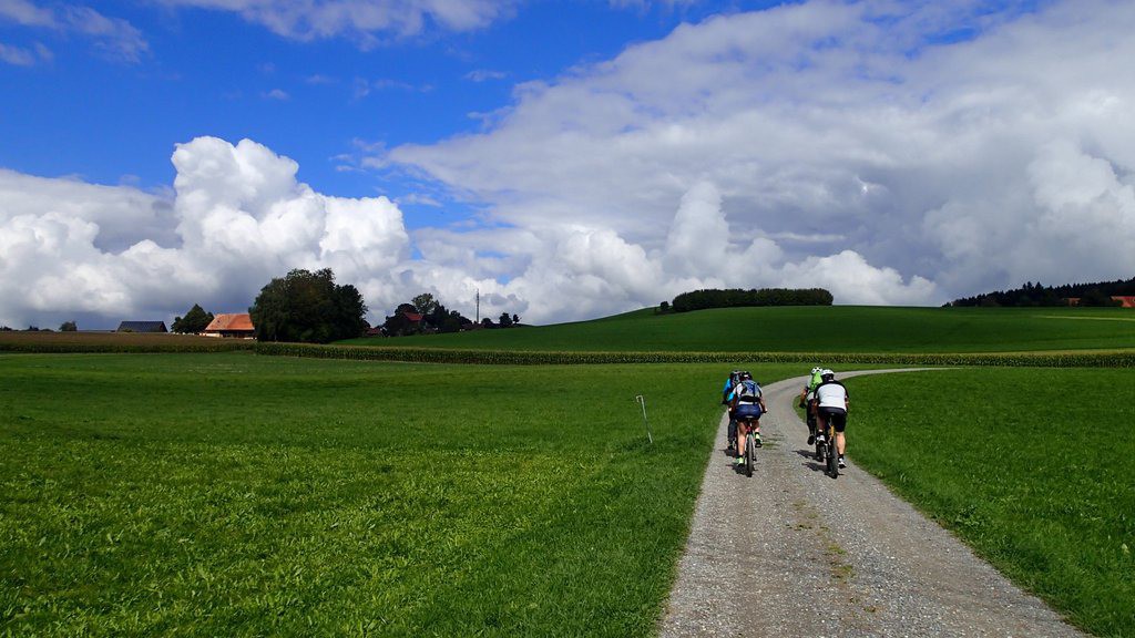 bike-seetal