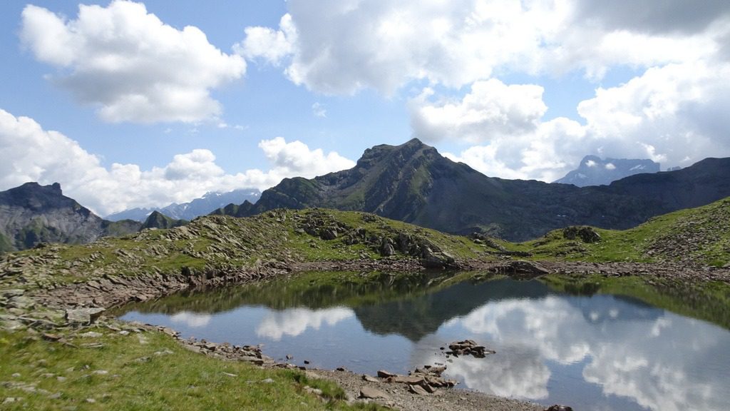 burgseeli