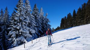 Mehr über den Artikel erfahren Rigi Dossen und Kulm