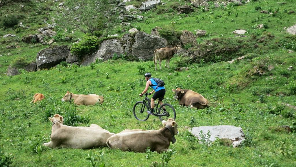 sinsgaeuer-schonegg-bike