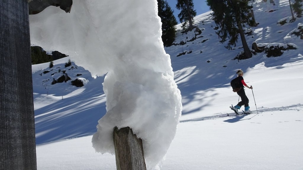 Du betrachtest gerade Bärenfallen – Musenalp