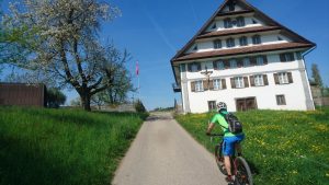 Mehr über den Artikel erfahren Single Trails rund um Hochdorf