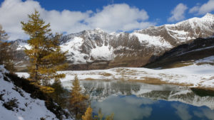 Read more about the article Alpe di Lago