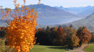Mehr über den Artikel erfahren Herbstwanderung Adligenswil – Meierskappel