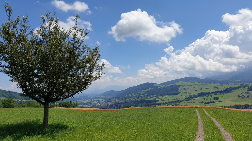 Du betrachtest gerade Ruswilerberg – Werthenstein – Schwarzenberg Bike