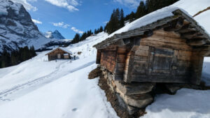 Read more about the article Grindelgrat