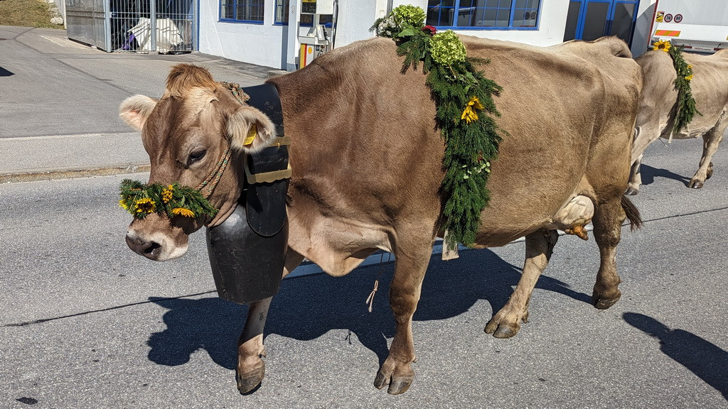 Du betrachtest gerade Oberalp – Trun – Morissen Bike