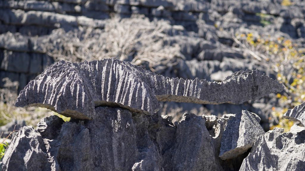 Du betrachtest gerade Madagaskar: Ankarana Nationalpark & Bat Cave