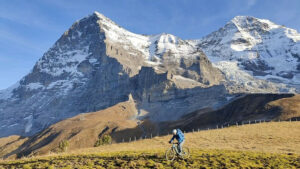 Mehr über den Artikel erfahren Rotstock am Eiger