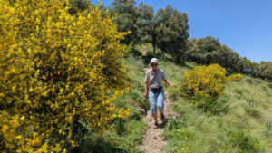 Mehr über den Artikel erfahren Cerro Coros